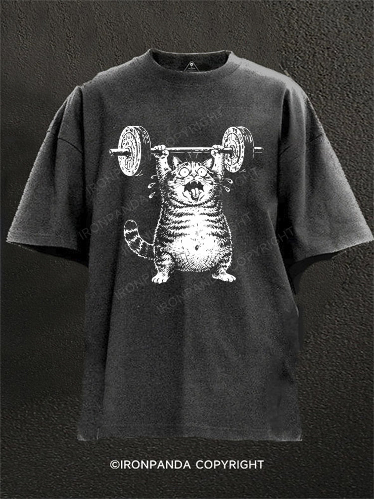 Funny Fat Cat Deadlift Washed Gym Shirt